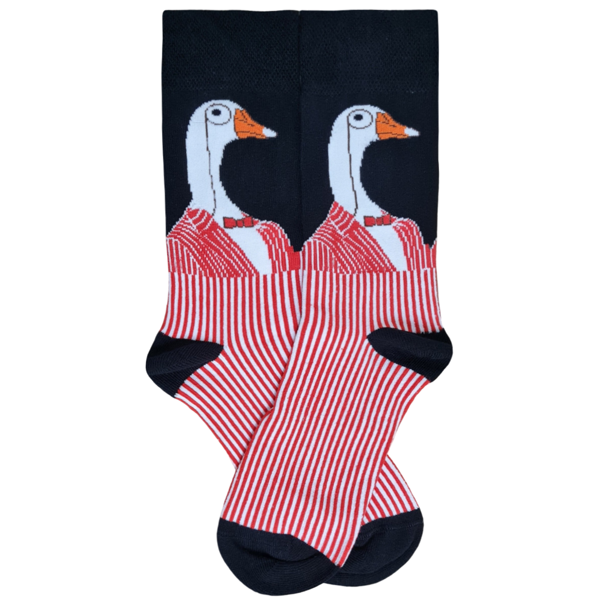 Gentleman Stork