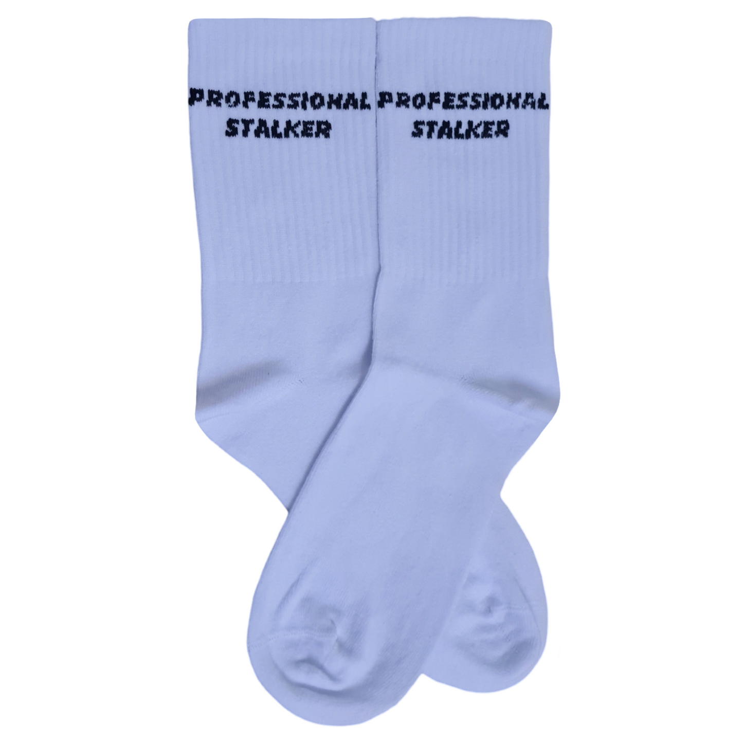 PROFESSIONAL STALKER