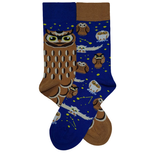 Mismatched crew socks featuring a large brown owl on a blue starry background on one side and a pattern of small flying owls on the other.