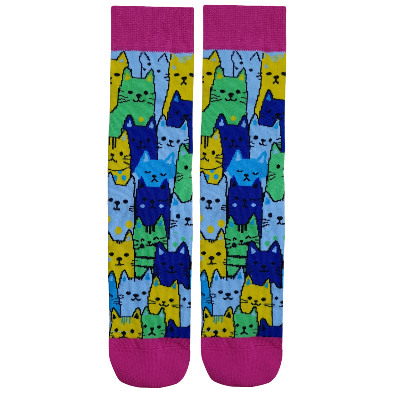 Colorful Cats